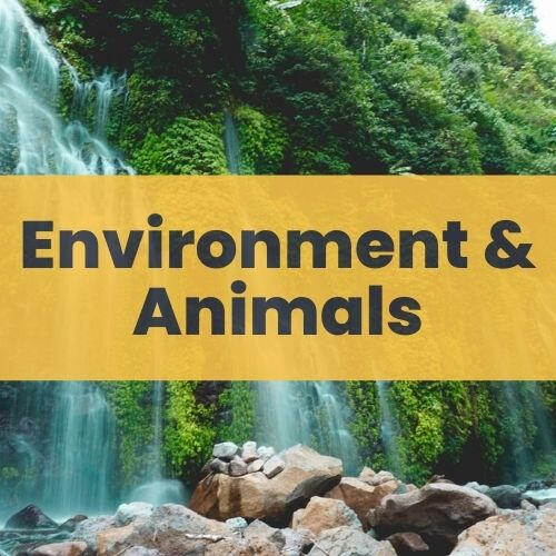 Environment & Animals
